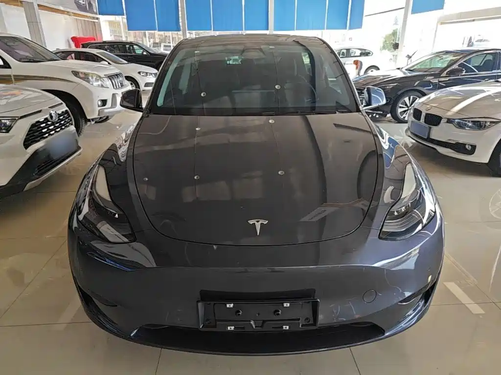 Tesla Model Y — миниатюра 3