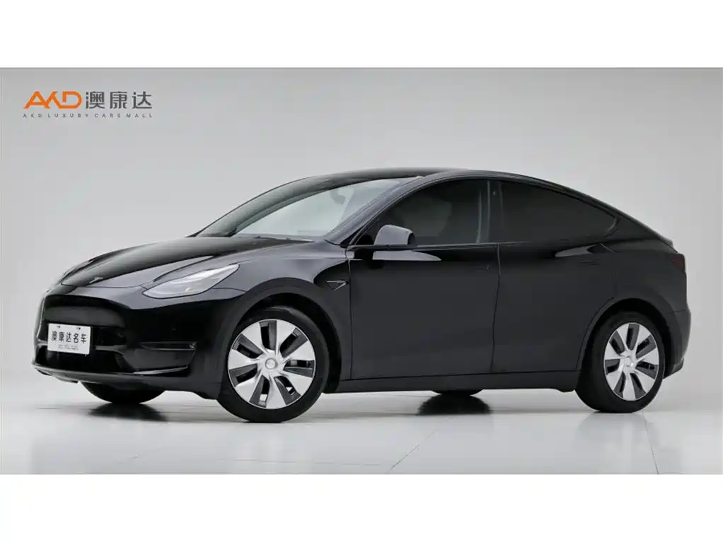 2021 Tesla Model Y - zdjęcie 1 z 10