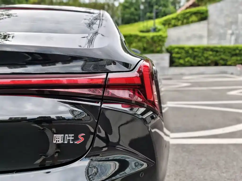 Neta Neta S — миниатюра 32