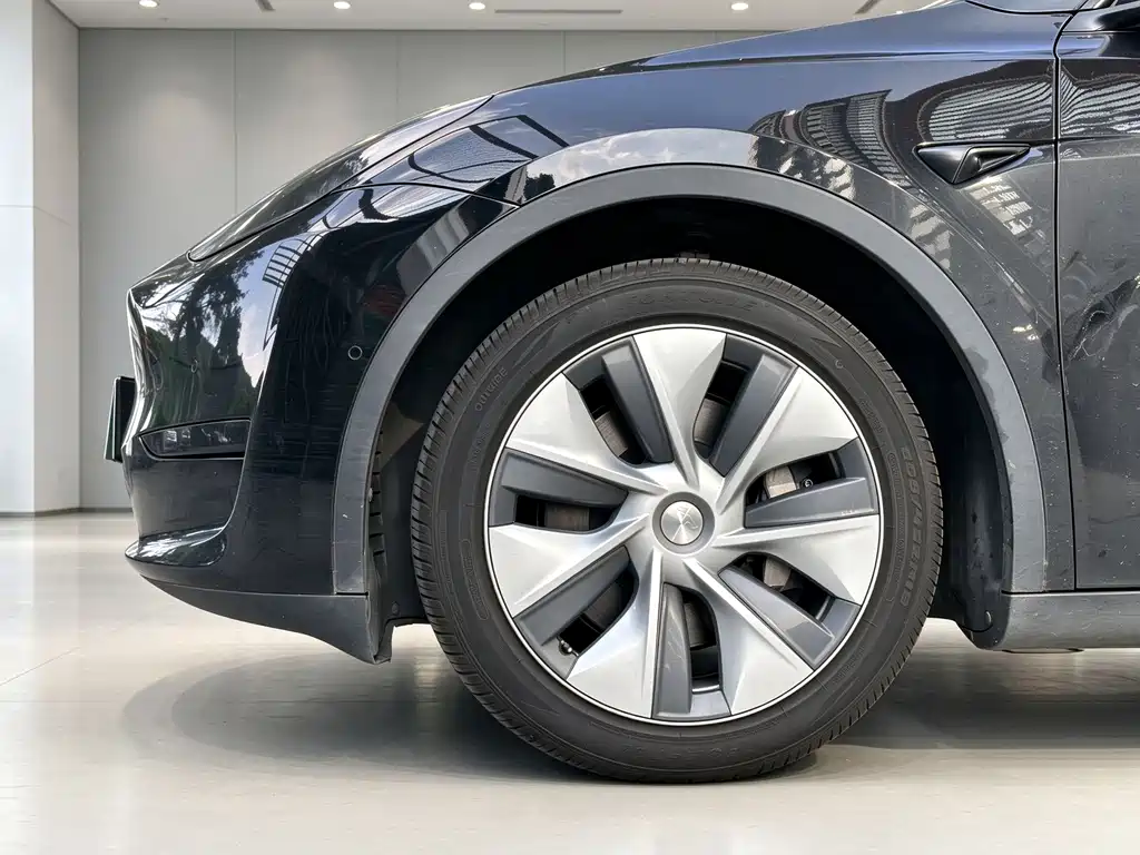 Tesla Model Y — миниатюра 21