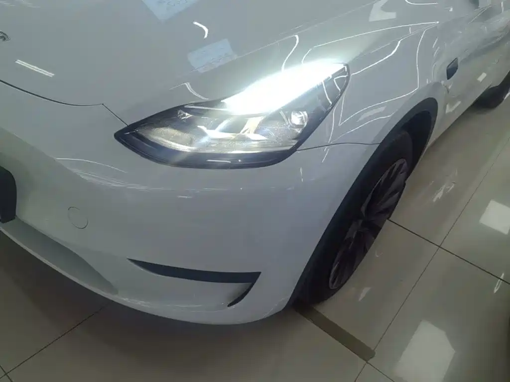 Tesla Model Y — миниатюра 24