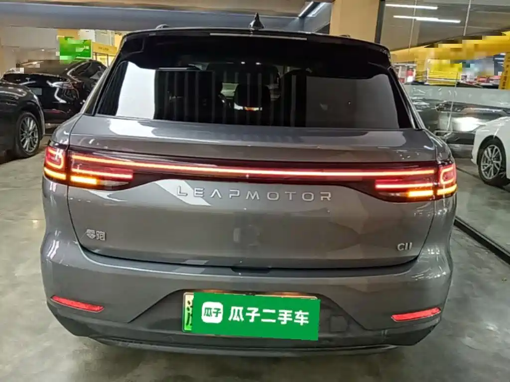 Leapmotor C11 2021 Executive 510