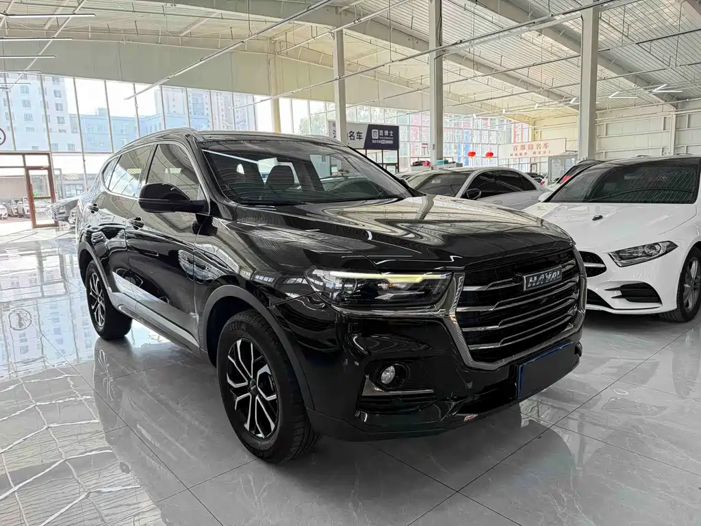 Haval H6 — миниатюра 3