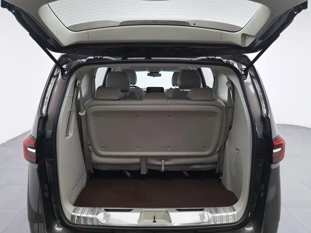 Buick GL8 — миниатюра 16
