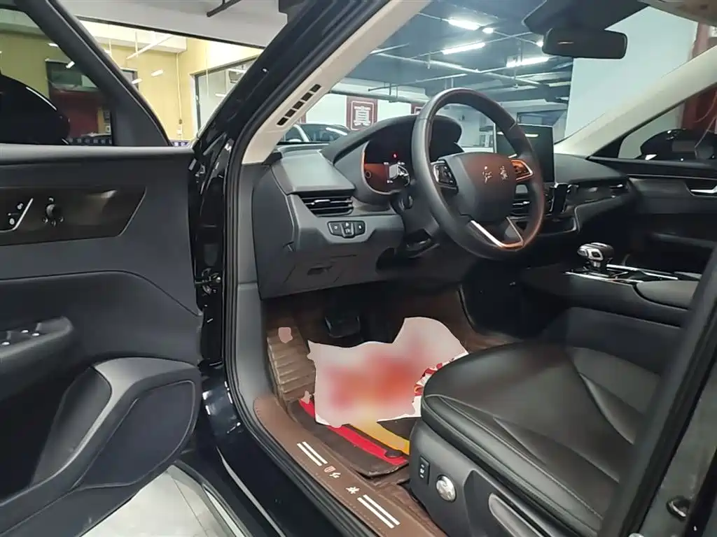 Hongqi Hongqi E-QM5 - фото 16