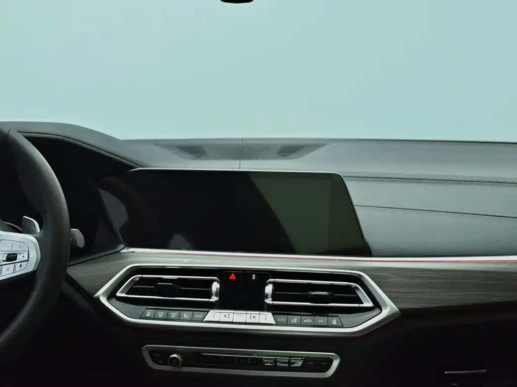 BMW X5 — миниатюра 11