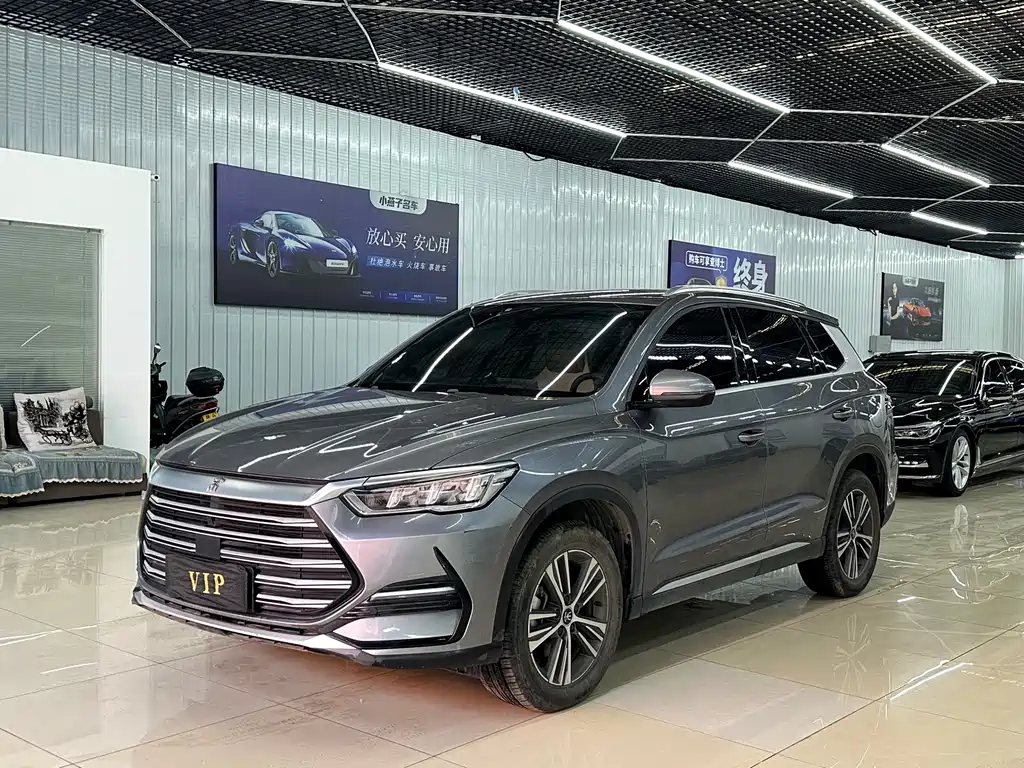 Byd Pro New Energy 2023