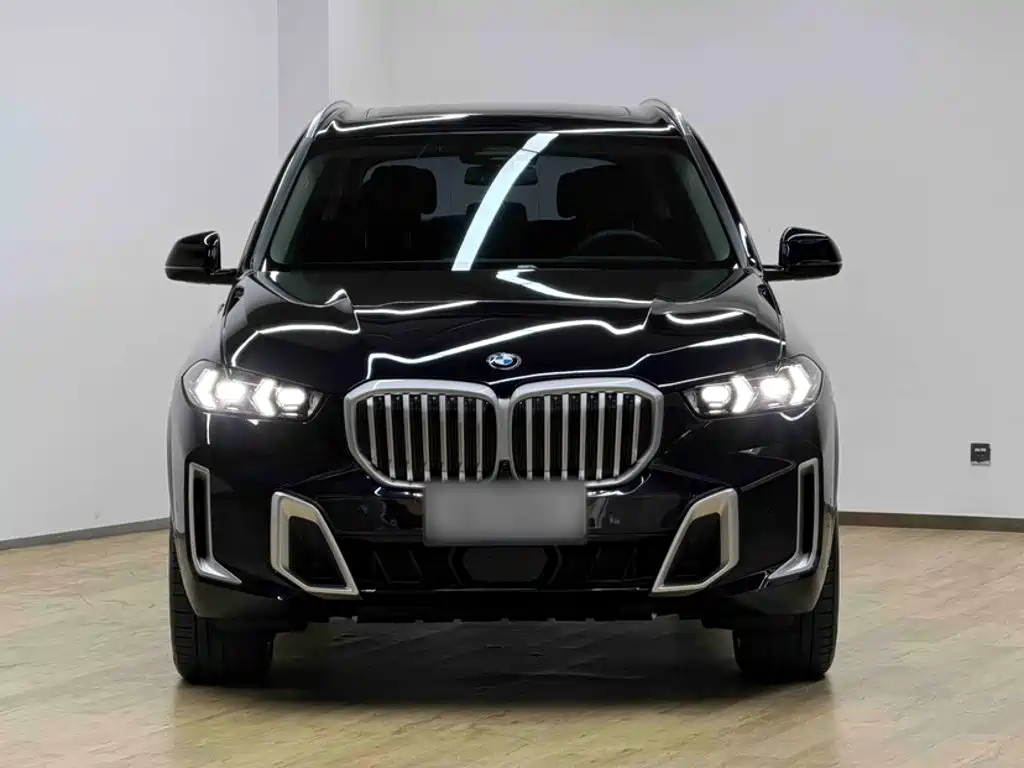 BMW X5 — миниатюра 8