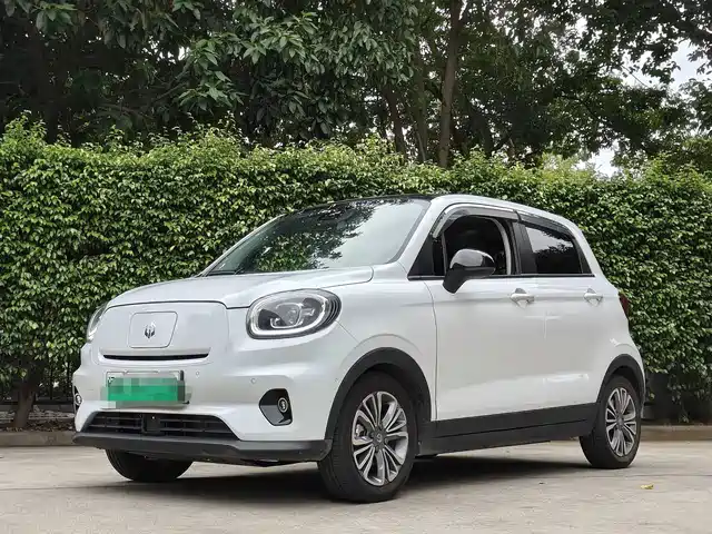 2021 Leapmotor T03