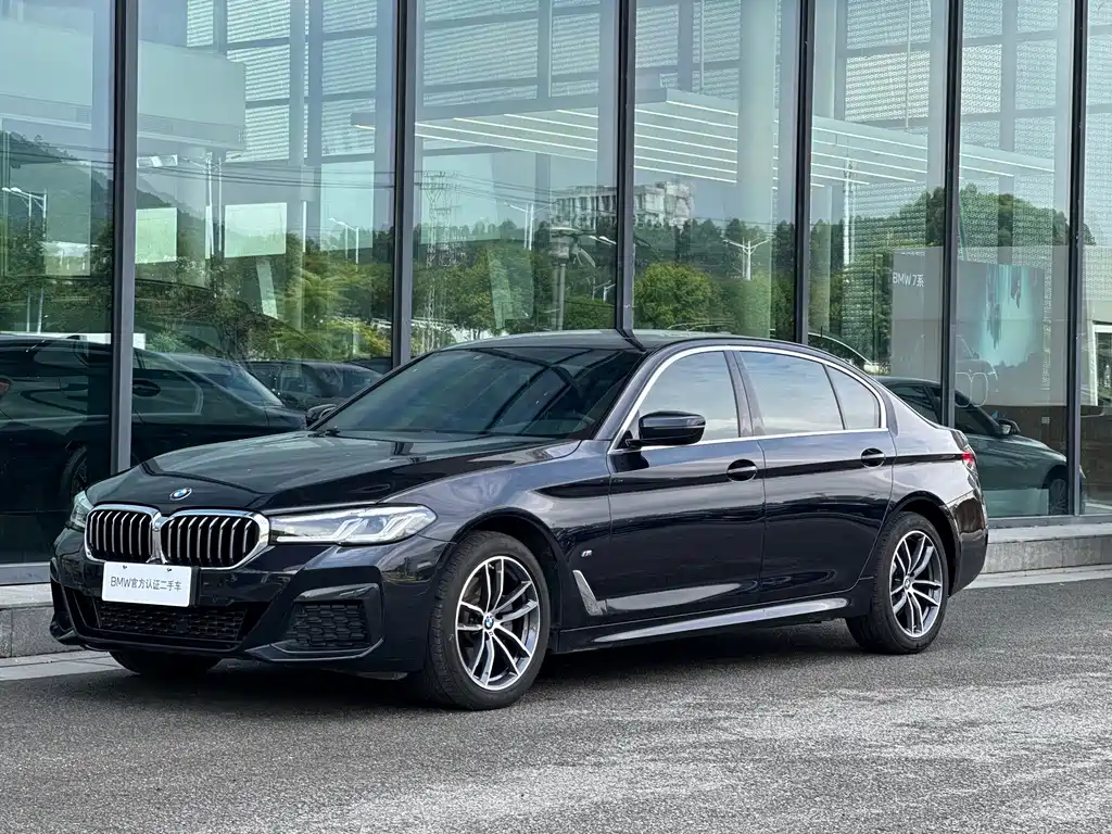 BMW 5 Series — миниатюра 4