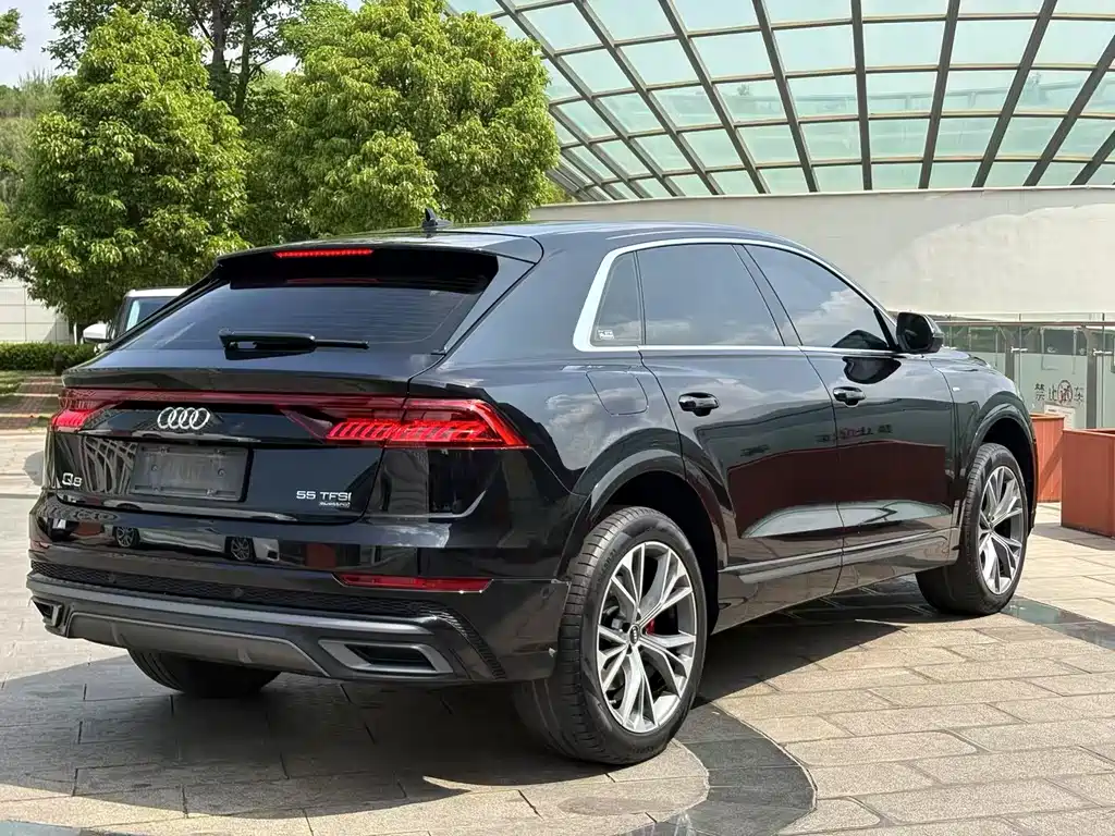 Audi Q8 2021 55 TFSI