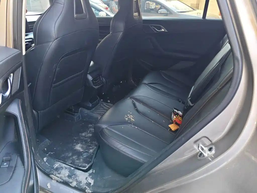 Roewe RX5 New Energy — миниатюра 15