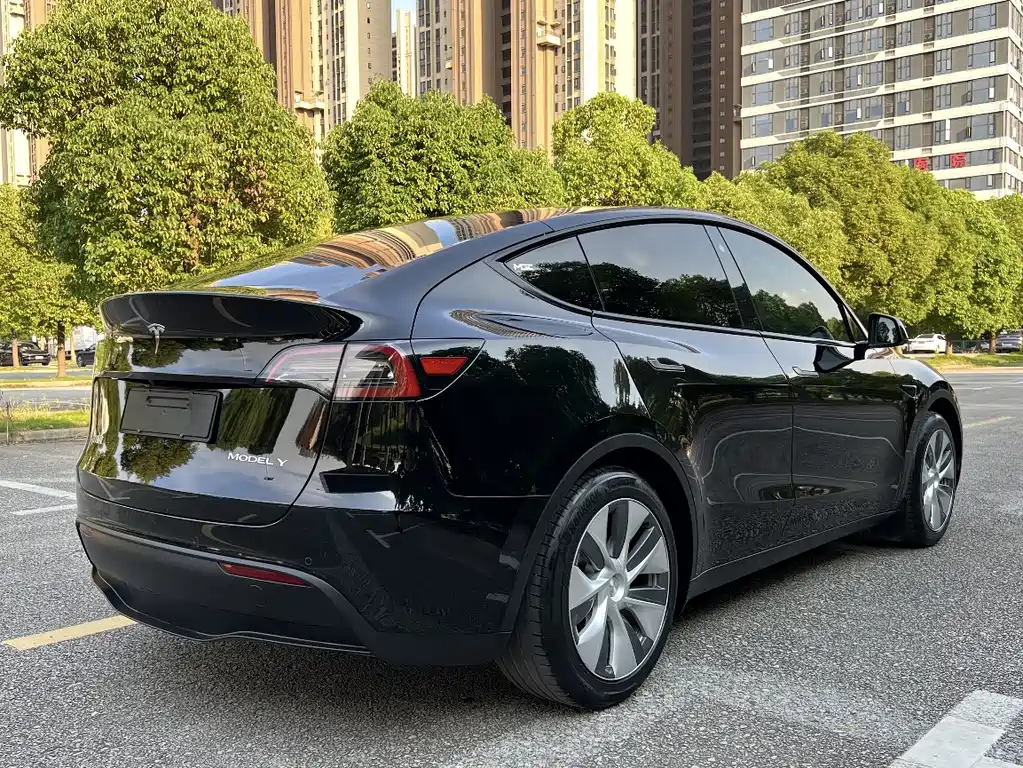 Tesla Model Y — миниатюра 9