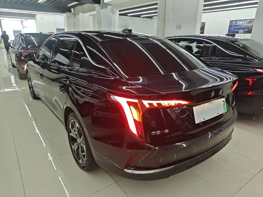 Hongqi Hongqi E-QM5 — миниатюра 5