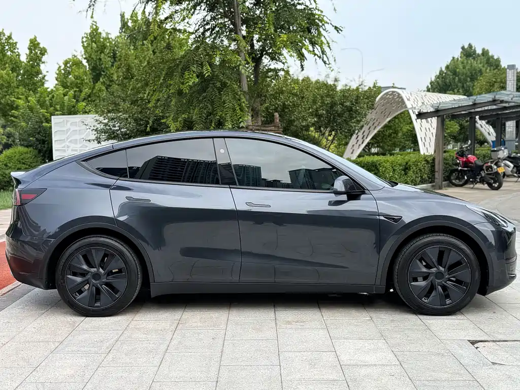 Tesla Model Y — миниатюра 4