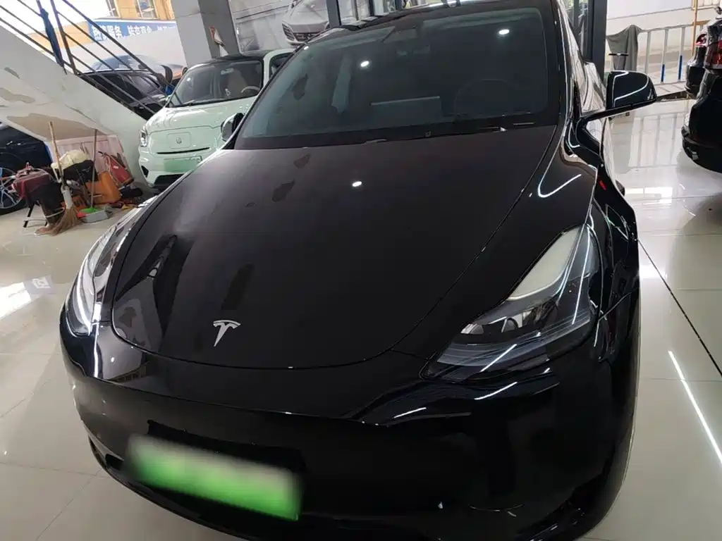 Tesla Model Y — миниатюра 3