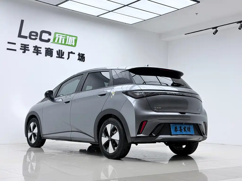 BYD Dolphin — миниатюра 13