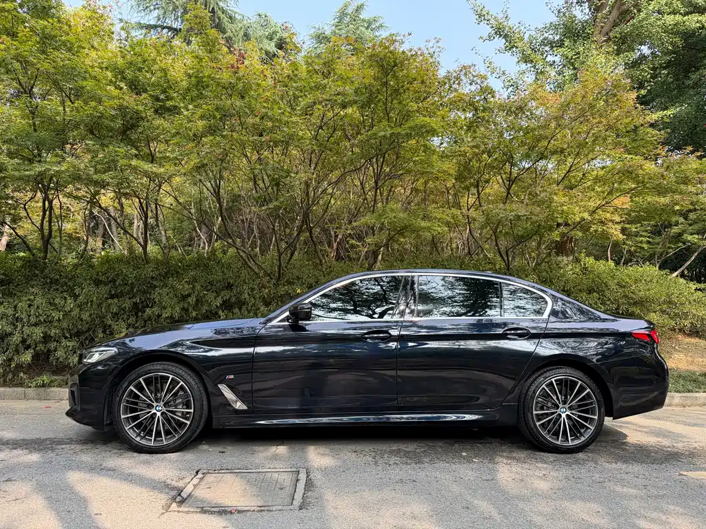 BMW 5 Series — миниатюра 14