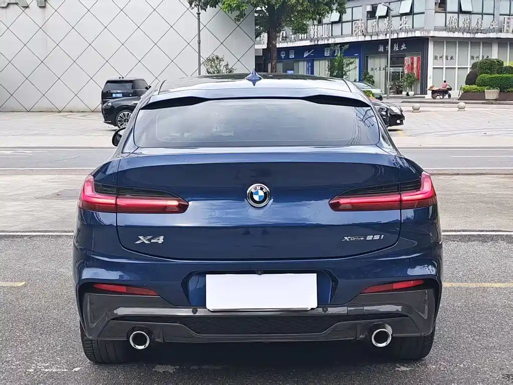BMW X4 2019 xDrive25i M Sport