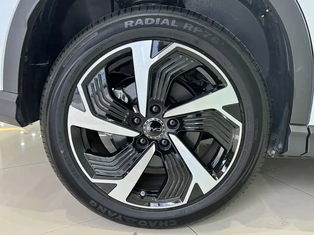 BYD SEA LION 05 DM I