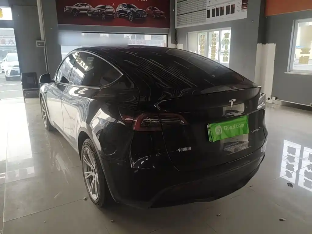 Tesla Model Y — миниатюра 5