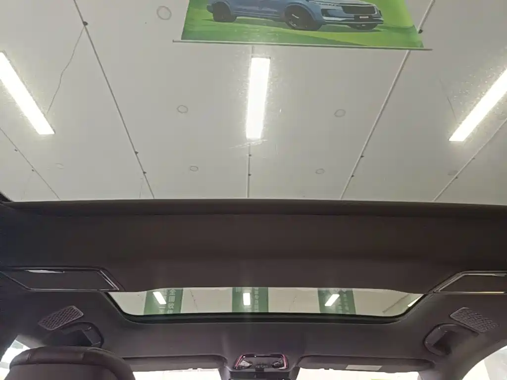 Denza Denza Z9GT — миниатюра 18