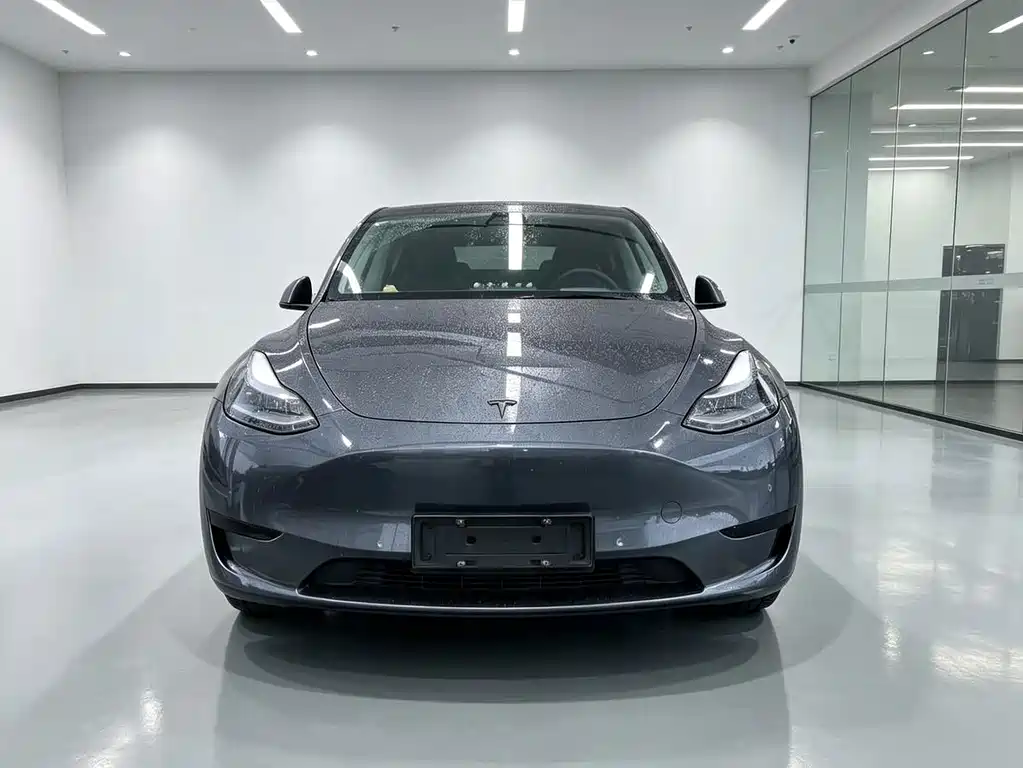 Tesla Model Y — миниатюра 2