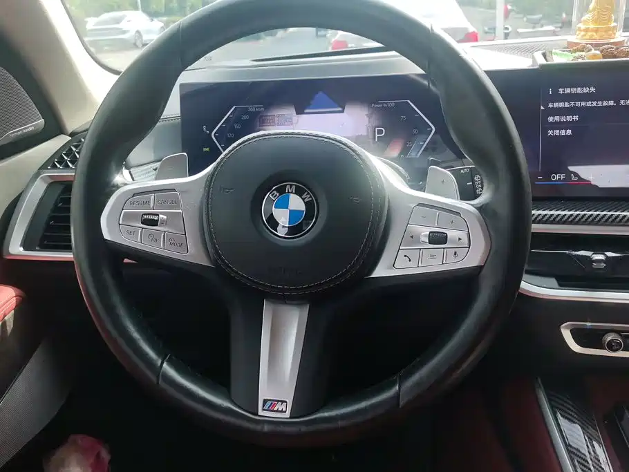 BMW X5 — миниатюра 15