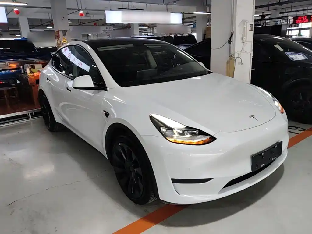 Tesla Model Y — миниатюра 4