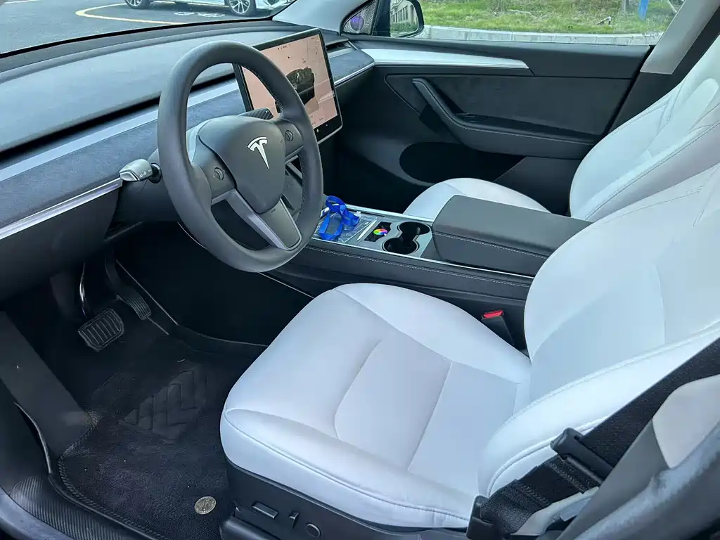 Tesla Model Y — миниатюра 7