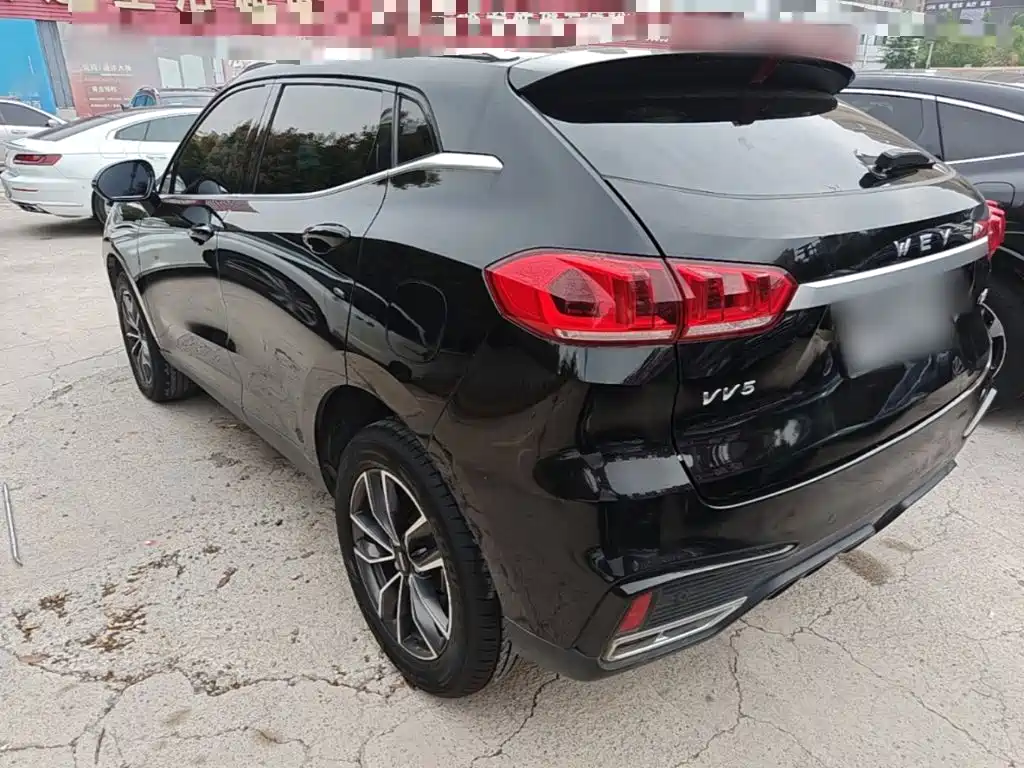 Wey Wey VV5 — миниатюра 5