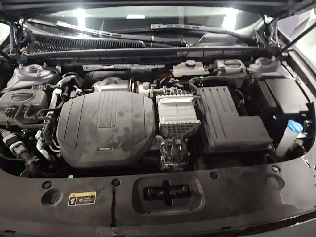 Hongqi Hongqi H5 PHEV — миниатюра 20