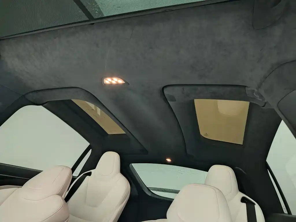 Tesla Model X — миниатюра 15