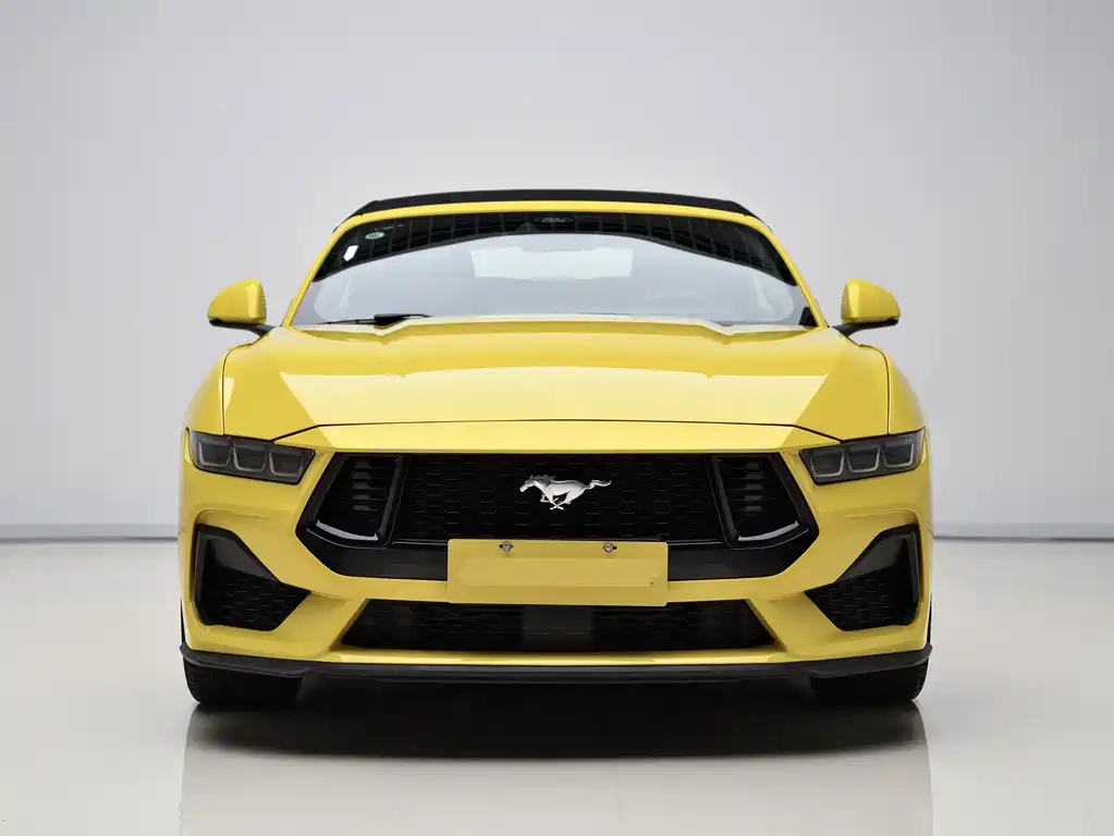 Ford Mustang — миниатюра 2