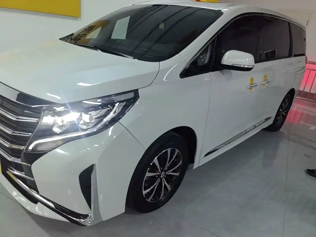GAC Motor Trumpchi M8 — миниатюра 2