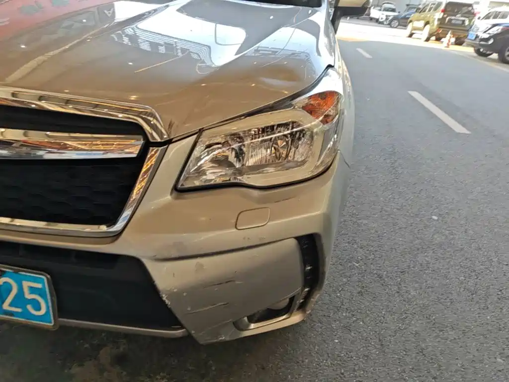 Subaru Forester — миниатюра 24