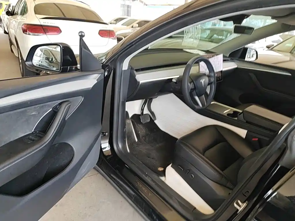 Tesla Model Y — миниатюра 16