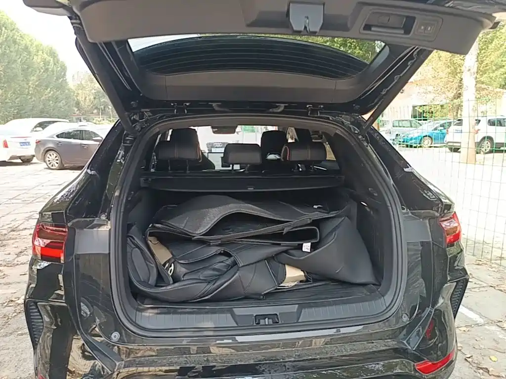 BYD PLUS New Energy — миниатюра 19