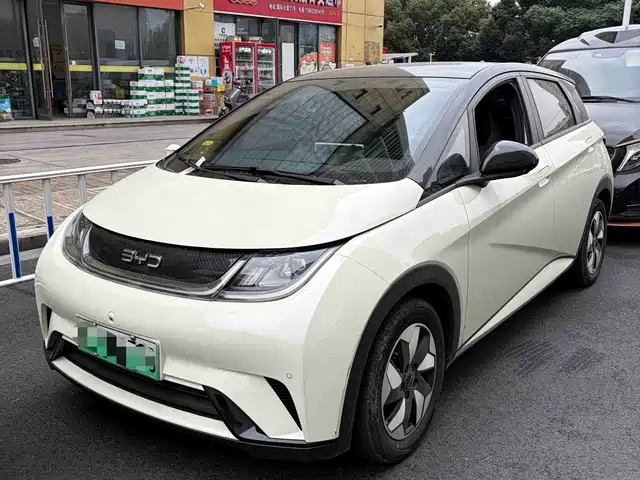 BYD Dolphin
