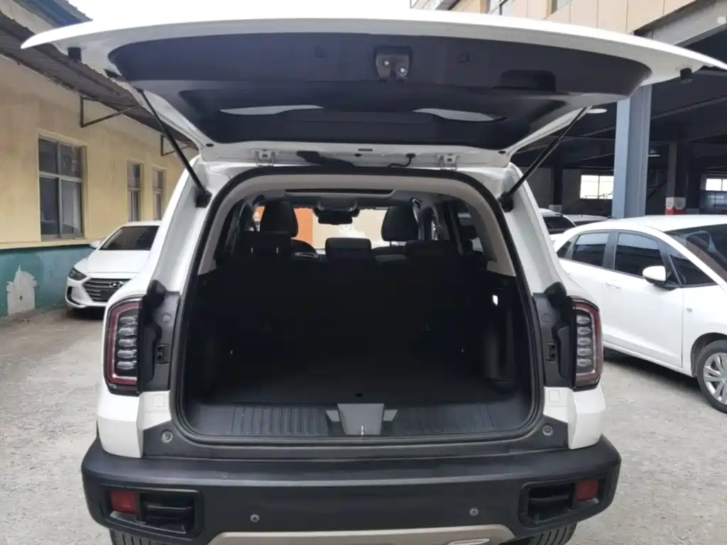 Haval Big Dog — миниатюра 19