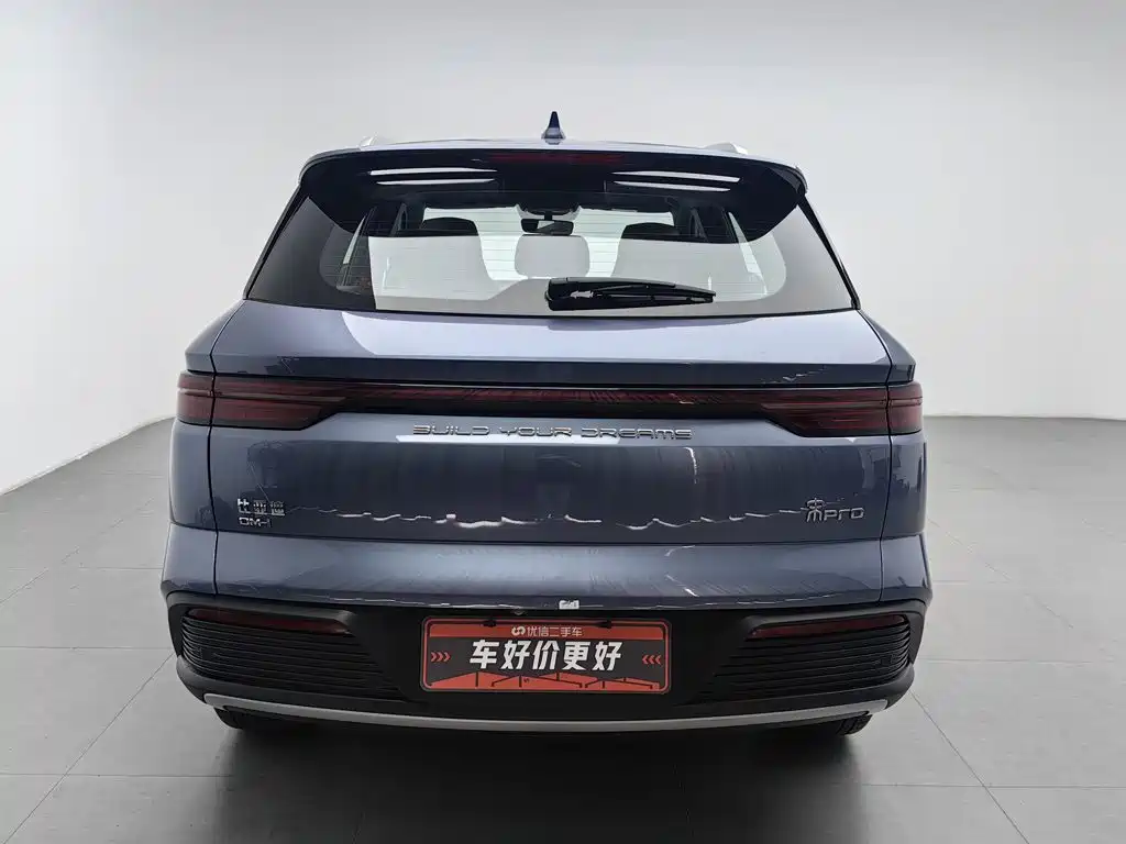 BYD Pro New Energy — миниатюра 4