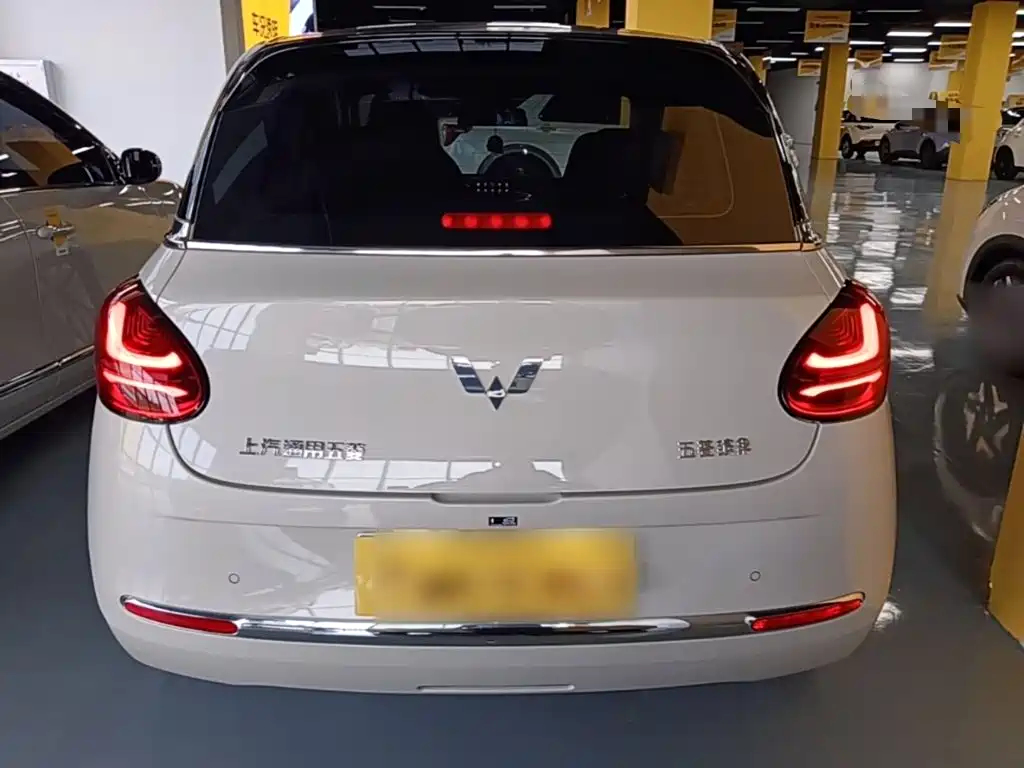 Wuling Binguo 2023 333km +