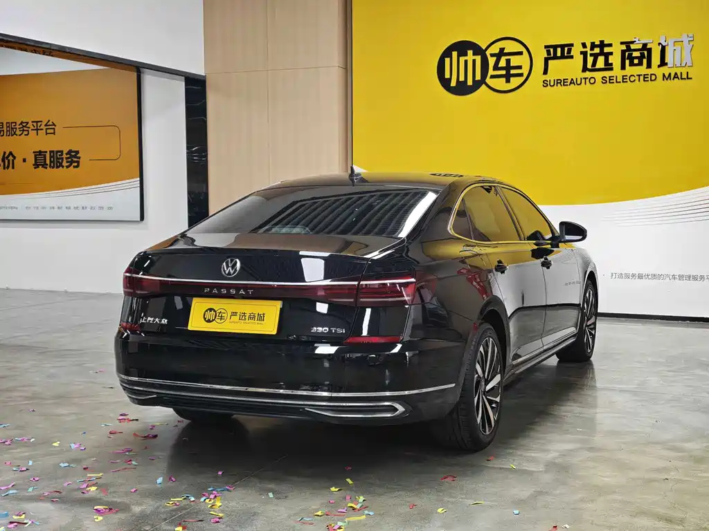 Volkswagen Passat — миниатюра 6