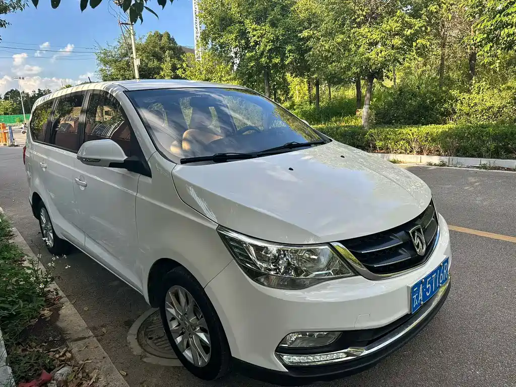 BAOJUN  730