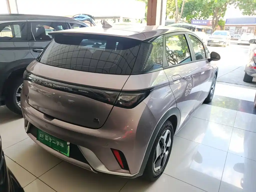 BYD Dolphin — миниатюра 7