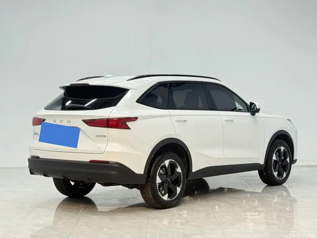 Haval 哈弗H6L — миниатюра 8