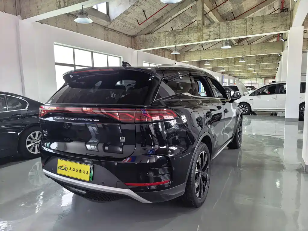 BYD Tang New Energy — миниатюра 23