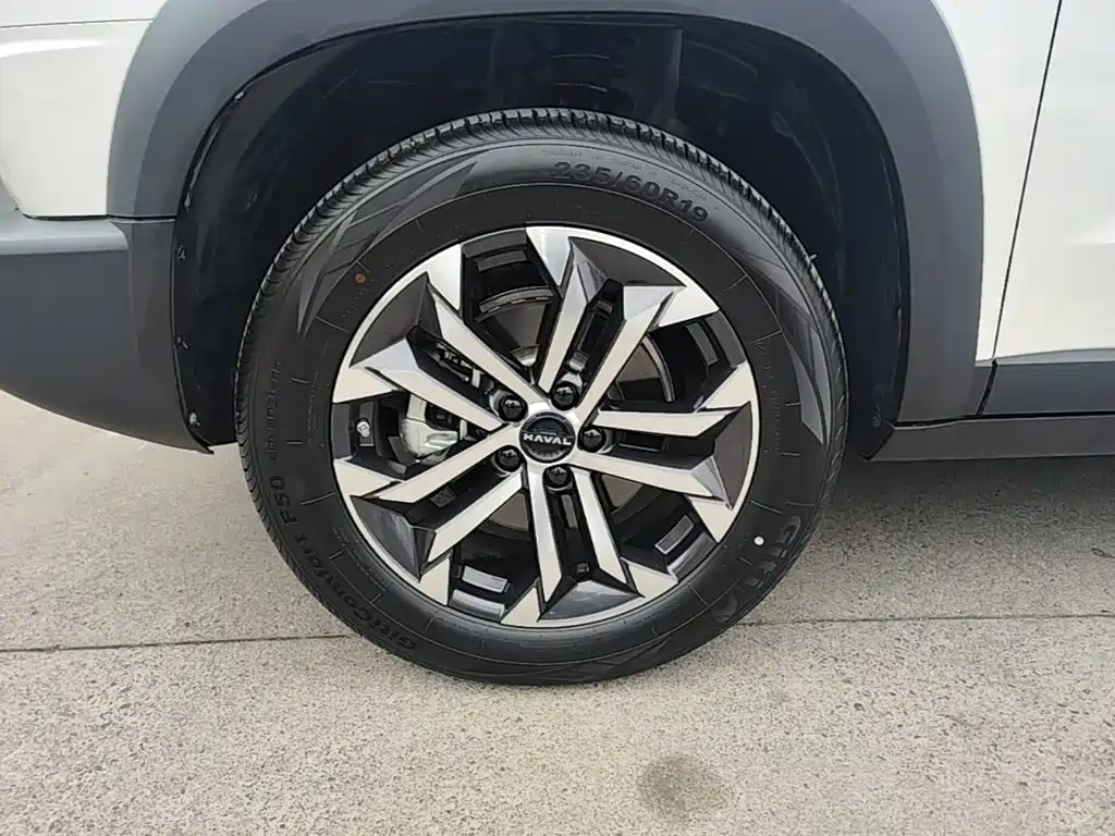 Haval Big Dog — миниатюра 23