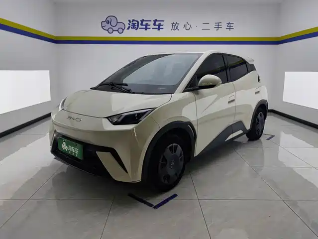 BYD Seagull