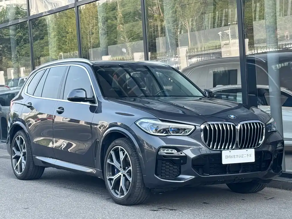 BMW X5 (Import) — миниатюра 3